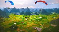​上林旅游日：包车深度游，一站式畅享八大主题活动！
